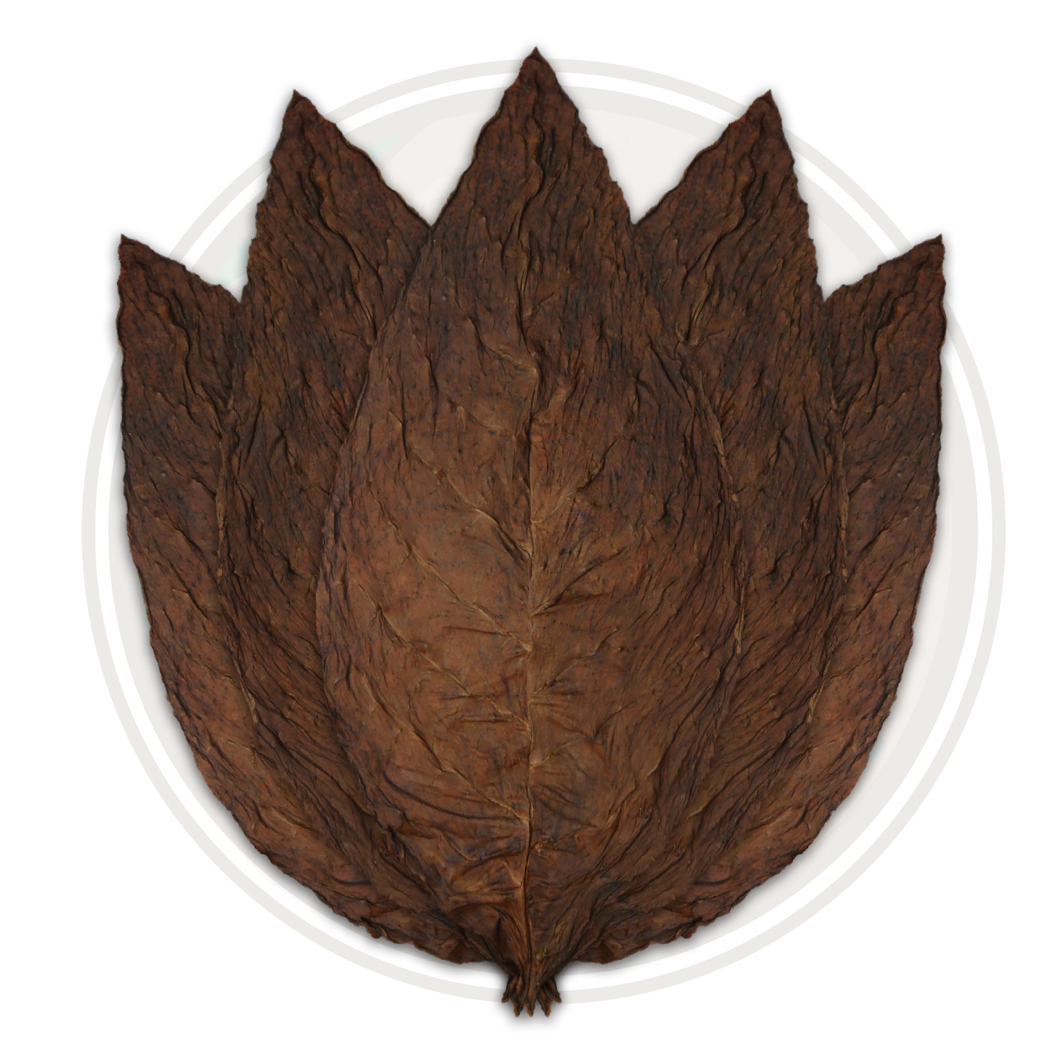 CT Connecticut Broadleaf Fronto Wrapper Whole Tobacco Leaf